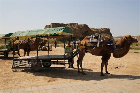 北京到銀川如何去：多維度的旅行指南