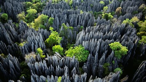 石林哪些地方好玩 石林风景区内的自然景观与人文景观如何相辅相成